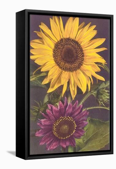 Sunflowers-null-Framed Stretched Canvas