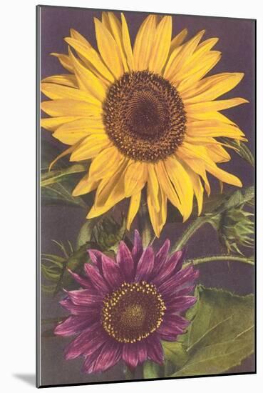 Sunflowers-null-Mounted Art Print