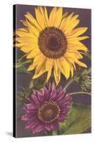 Sunflowers-null-Stretched Canvas