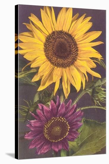 Sunflowers-null-Stretched Canvas