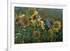 Sunflowers-Michael Jackson-Framed Giclee Print