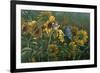 Sunflowers-Michael Jackson-Framed Giclee Print