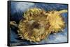 Sunflowers-Vincent van Gogh-Framed Stretched Canvas