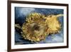 Sunflowers-Vincent van Gogh-Framed Premium Giclee Print