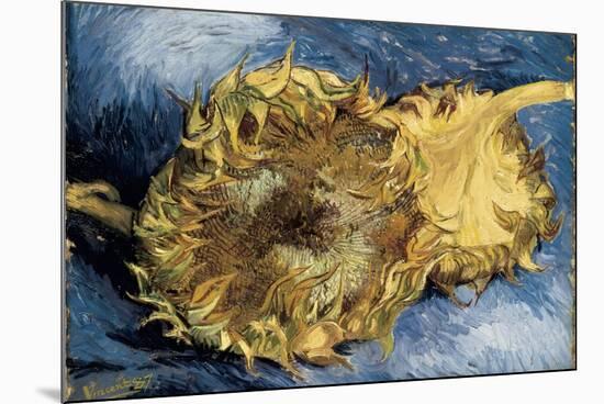 Sunflowers-Vincent van Gogh-Mounted Premium Giclee Print