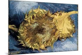 Sunflowers-Vincent van Gogh-Mounted Premium Giclee Print