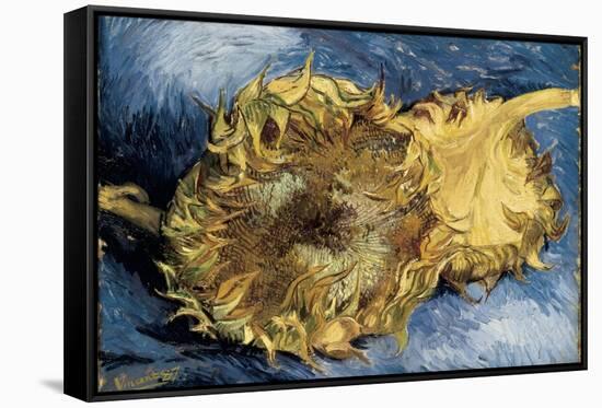 Sunflowers-Vincent van Gogh-Framed Stretched Canvas