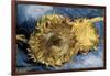 Sunflowers-Vincent van Gogh-Framed Art Print