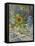 Sunflowers-Susan Ryder-Framed Stretched Canvas