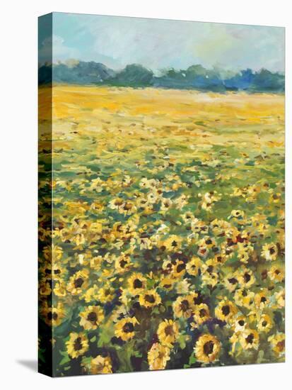 SUNFLOWERS-ALLAYN STEVENS-Stretched Canvas