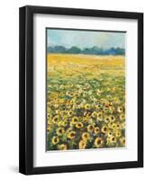 SUNFLOWERS-ALLAYN STEVENS-Framed Art Print