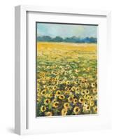 SUNFLOWERS-ALLAYN STEVENS-Framed Art Print