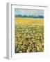 SUNFLOWERS-ALLAYN STEVENS-Framed Art Print