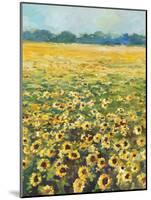 SUNFLOWERS-ALLAYN STEVENS-Mounted Art Print