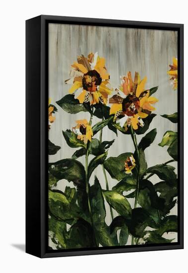 Sunflowers-Sydney Edmunds-Framed Stretched Canvas