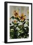 Sunflowers-Sydney Edmunds-Framed Giclee Print