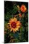 Sunflowers-Andre Burian-Mounted Giclee Print