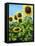 Sunflowers-Tanja Ware-Framed Stretched Canvas