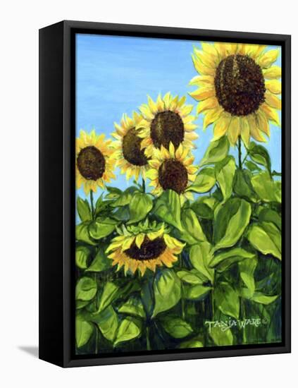 Sunflowers-Tanja Ware-Framed Stretched Canvas