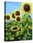 Sunflowers-Tanja Ware-Stretched Canvas