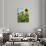 Sunflowers-Tanja Ware-Giclee Print displayed on a wall