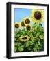 Sunflowers-Tanja Ware-Framed Giclee Print
