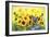 Sunflowers-Ata Alishahi-Framed Giclee Print