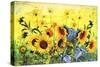 Sunflowers-Ata Alishahi-Stretched Canvas