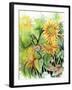 Sunflowers-Michelle Faber-Framed Giclee Print