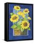 Sunflowers-Fiona Stokes-Gilbert-Framed Stretched Canvas