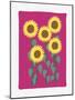 Sunflowers-FS Studio-Mounted Giclee Print