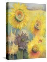 Sunflowers-Karen Armitage-Stretched Canvas