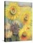 Sunflowers-Karen Armitage-Stretched Canvas