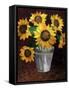 Sunflowers-Cheryl Bartley-Framed Stretched Canvas