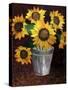 Sunflowers-Cheryl Bartley-Stretched Canvas