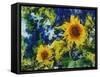 Sunflowers-Michelle Calkins-Framed Stretched Canvas