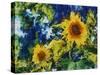 Sunflowers-Michelle Calkins-Stretched Canvas