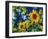 Sunflowers-Michelle Calkins-Framed Photo