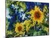 Sunflowers-Michelle Calkins-Mounted Photo
