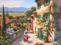 Spring in the Valley-Sung Kim-Art Print