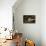 Sungrebe-Joe McDonald-Stretched Canvas displayed on a wall