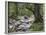 Sunik water grove, Lepenatal, Triglav national park, Julian Alps, Slovenia-Michael Jaeschke-Framed Photographic Print