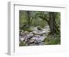 Sunik water grove, Lepenatal, Triglav national park, Julian Alps, Slovenia-Michael Jaeschke-Framed Photographic Print