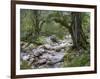 Sunik water grove, Lepenatal, Triglav national park, Julian Alps, Slovenia-Michael Jaeschke-Framed Photographic Print