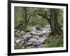 Sunik water grove, Lepenatal, Triglav national park, Julian Alps, Slovenia-Michael Jaeschke-Framed Photographic Print