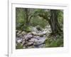 Sunik water grove, Lepenatal, Triglav national park, Julian Alps, Slovenia-Michael Jaeschke-Framed Photographic Print