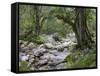 Sunik water grove, Lepenatal, Triglav national park, Julian Alps, Slovenia-Michael Jaeschke-Framed Stretched Canvas