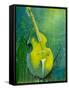 Sunken Dreams Cello-Michelle Faber-Framed Stretched Canvas