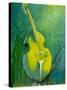 Sunken Dreams Cello-Michelle Faber-Stretched Canvas