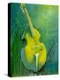 Sunken Dreams Cello-Michelle Faber-Stretched Canvas